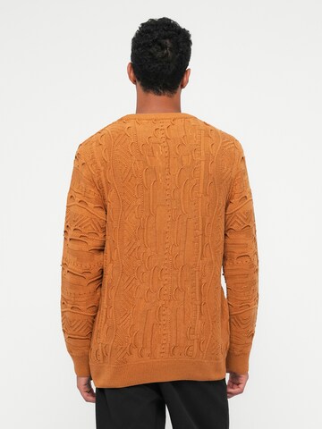 Carlo Colucci Свитер в Бежевый: сзади