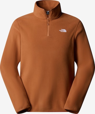 THE NORTH FACE Спортивная кофта 'Glacier' в Коричневый: спереди