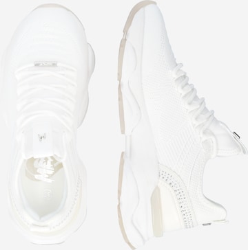 Baskets basses 'North' MEXX en blanc