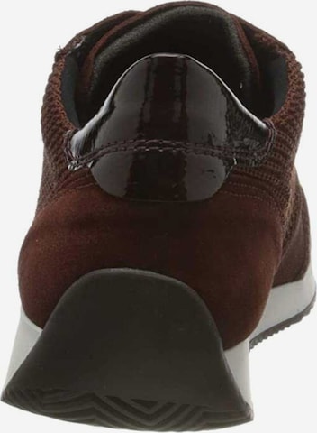 ARA Lace-Up Shoes in Brown