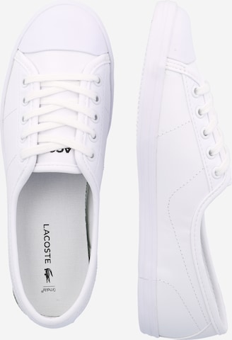 LACOSTE Sneakers laag 'Ziane BL 1 SPW' in Wit