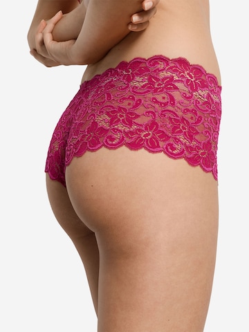 Hanro Panty 'Moments' in Pink