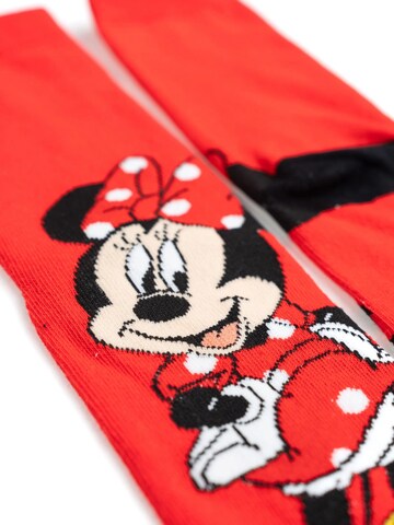 Disney Minnie Mouse Socks in Mixed colours