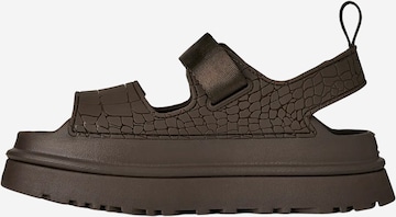 Sandalo di UGG in grigio: frontale