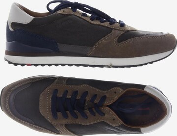 LLOYD Sneakers & Trainers in 41 in Brown: front