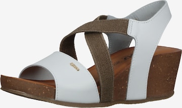 IGI&CO Sandals in Brown: front