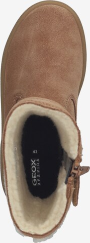 GEOX Stiefel in Braun