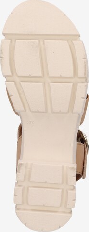 SIOUX Strap Sandals ' Ronila-701 ' in Beige