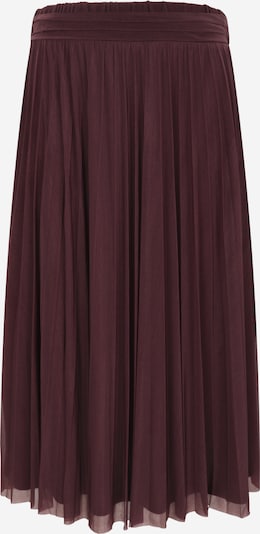 Guido Maria Kretschmer Women Suknja 'Astrid' u čokolada, Pregled proizvoda