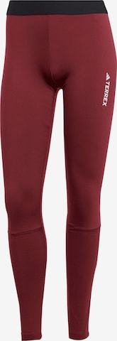 ADIDAS TERREX Workout Pants 'XPR' in Red: front