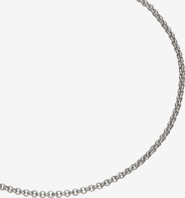 Heideman Necklace in Silver