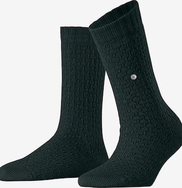 BURLINGTON Socken 'Orkney' in Grün: Vorderseite