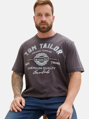 TOM TAILOR Men + Tričko – šedá