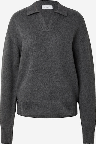 everly® - Jersey en gris: frente
