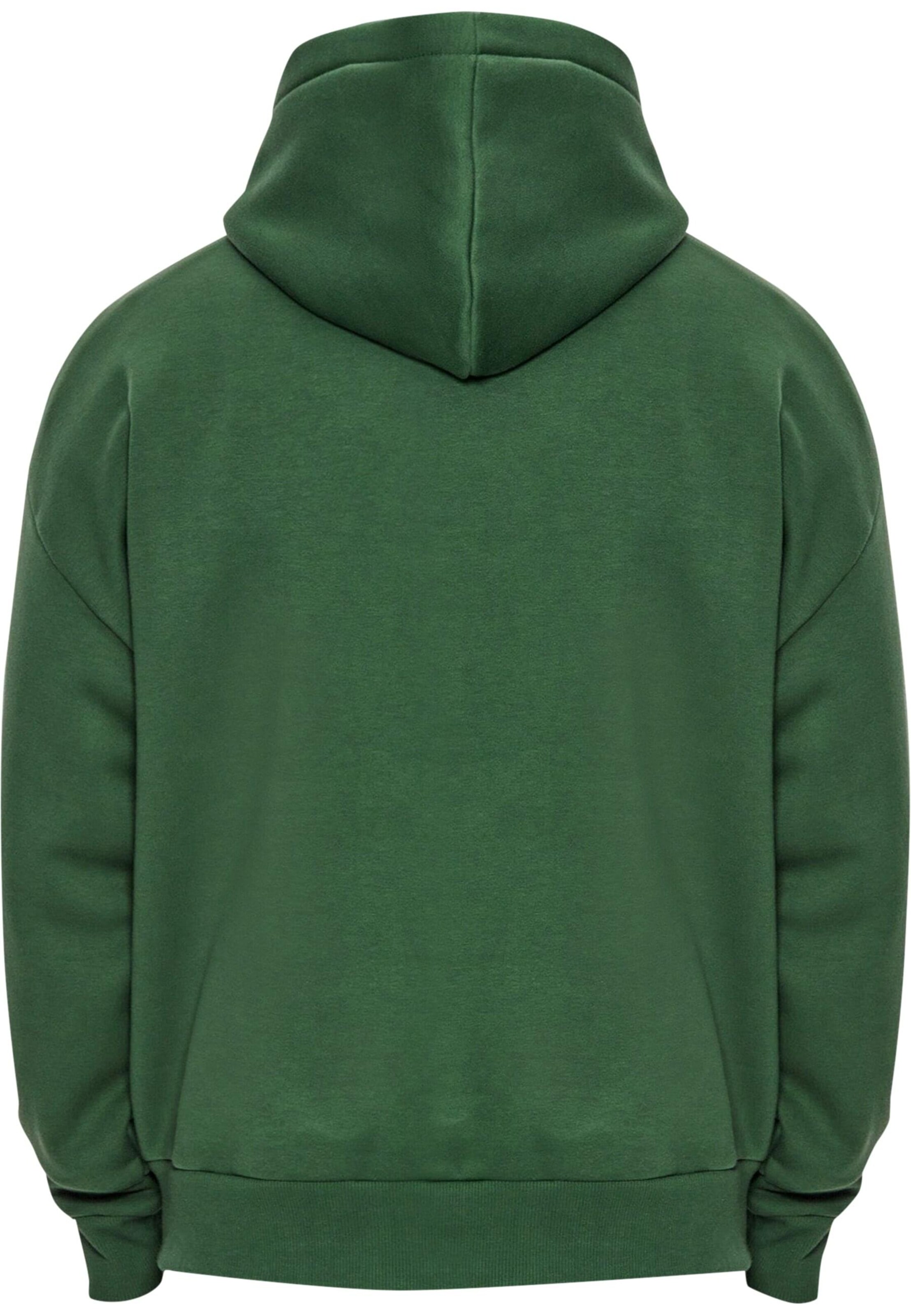 Dropsize Sweatshirt 'Embo' in Green