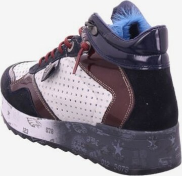 Cetti High-Top Sneakers in Mixed colors