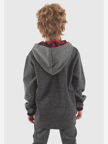 Denokids Trui ' CFF-24S1-061 ' in Grijs