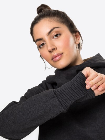 Fli Papigu Sweatshirt 'Deutsche & Albaner' in anthrazit, Produktansicht