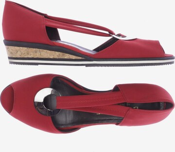 Brunate Sandals & High-Heeled Sandals in 40 in Red: front