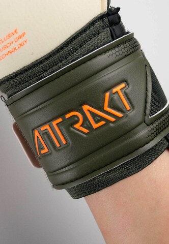REUSCH Athletic Gloves 'Attrakt Freegel Gold X' in Green