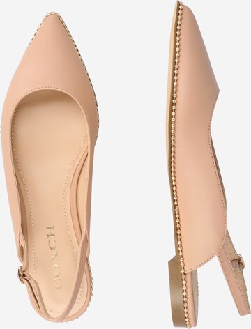 COACH Ballet Flats with Strap 'Vae' in Beige