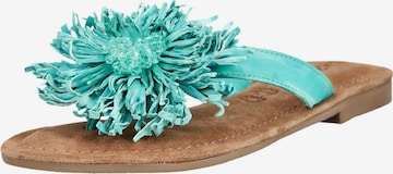 Zoccoletto di LAZAMANI in blu: frontale