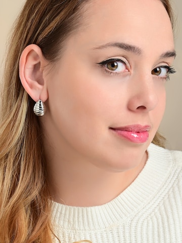 Akzent Earrings 'langlebig' in Silver: front