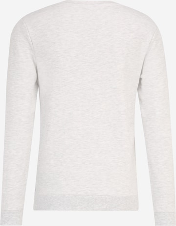 LMTD Sweatshirt 'Talo' in Grey