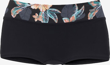 VENICE BEACH Athletic Bikini Bottoms in Black: front