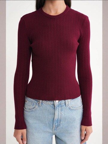 Pull-over MixRay en rouge
