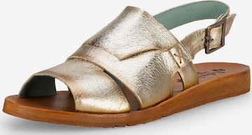 FELMINI Sandalen met riem in Goud: voorkant