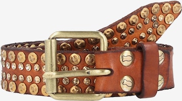 Ceinture Campomaggi en marron : devant