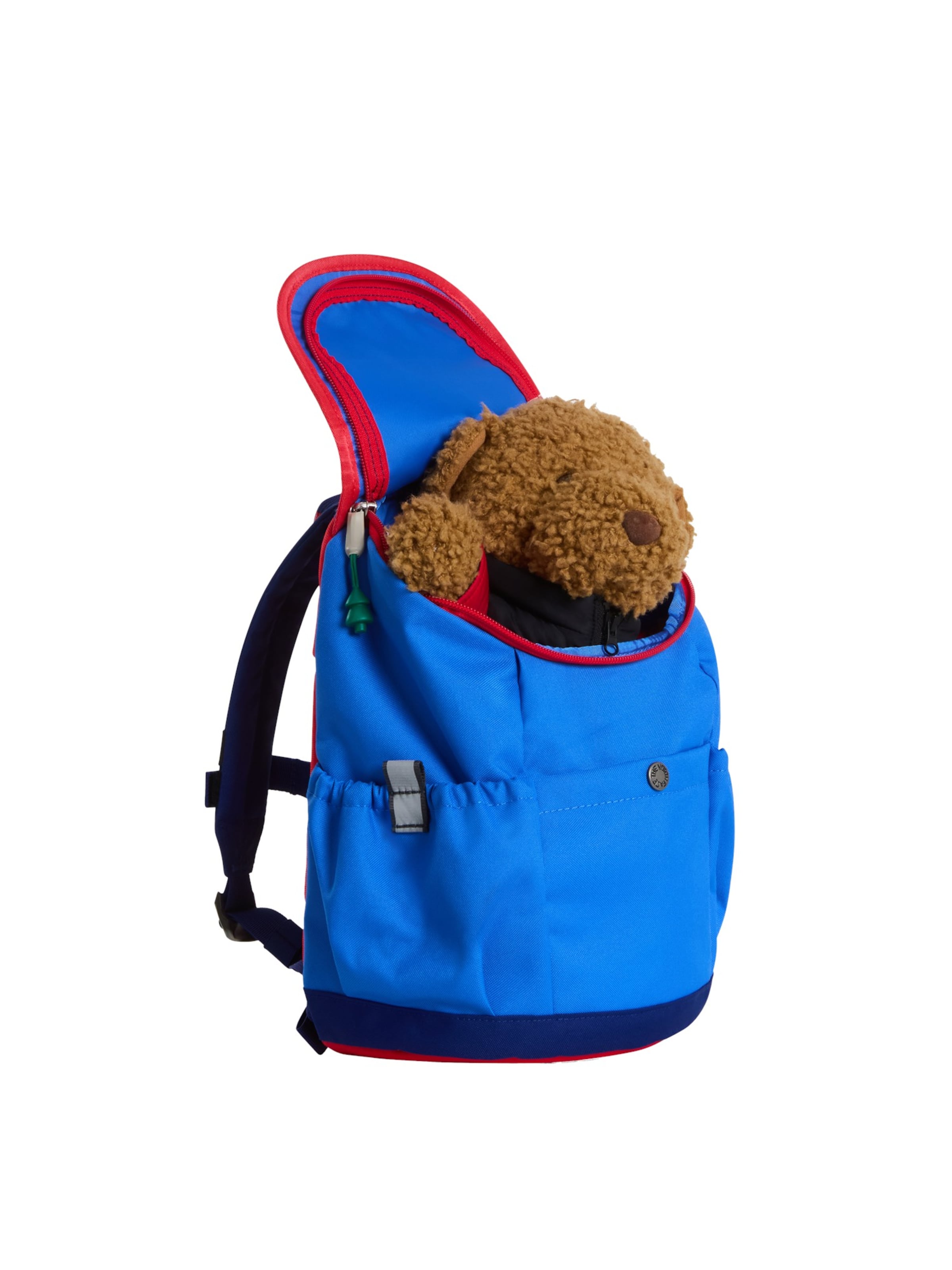 THE NORTH FACE Rucksack 'Explorer' in Blau