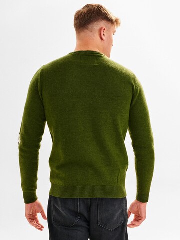 Dxnmxrk Pullover 'DXBjarne' in Grün