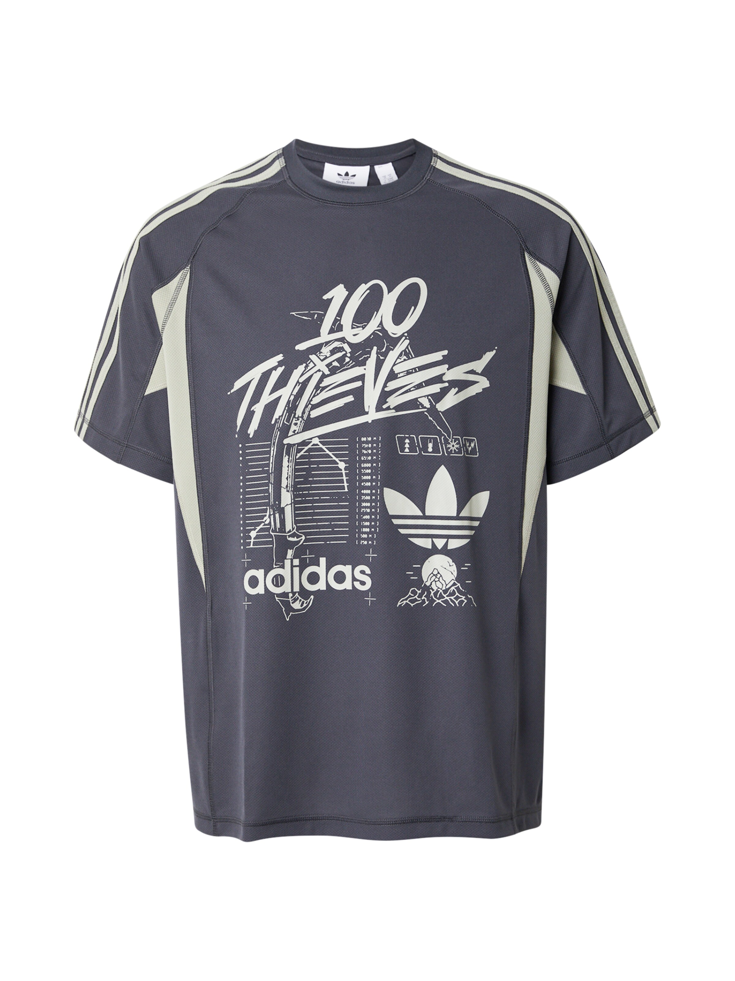 ADIDAS ORIGINALS Póló '100 Thieves' - szürke: elől
