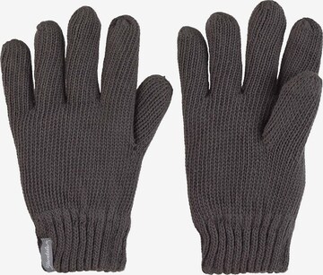 STERNTALER Gloves in Grey