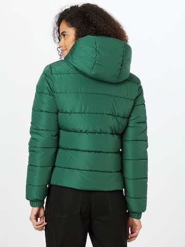 Superdry Зимняя куртка в Зеленый