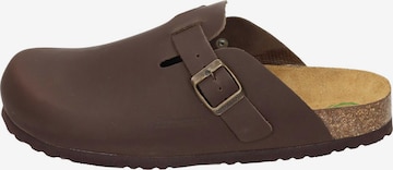 DR. BRINKMANN Clogs 'Nerpio' in Braun: Vorderseite