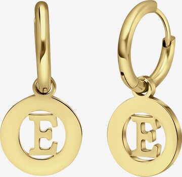 Lucardi Earrings in Gold: front