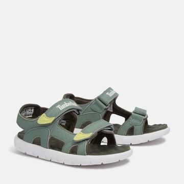 TIMBERLAND Sandals & Slippers in Green