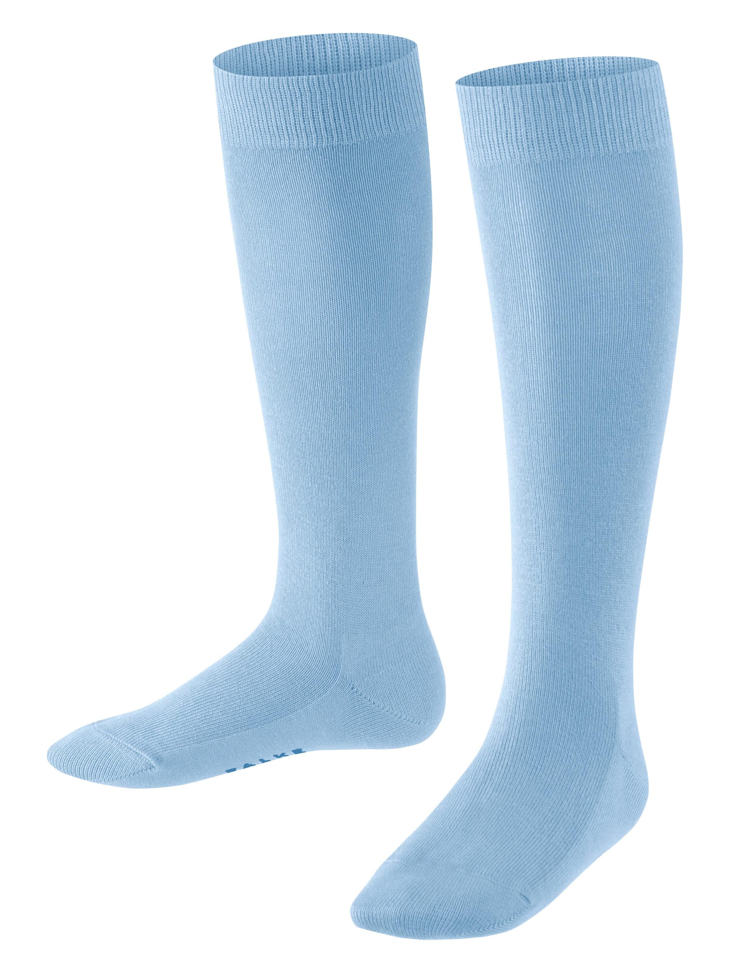 FALKE Socks 'Family' in Blue: front