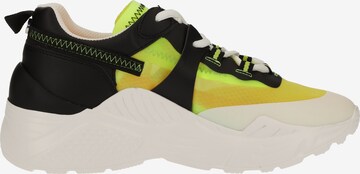 Sneaker bassa di STEVE MADDEN in colori misti