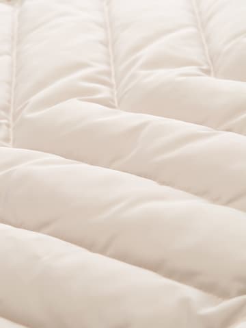 TOM TAILOR Winter Coat in Beige