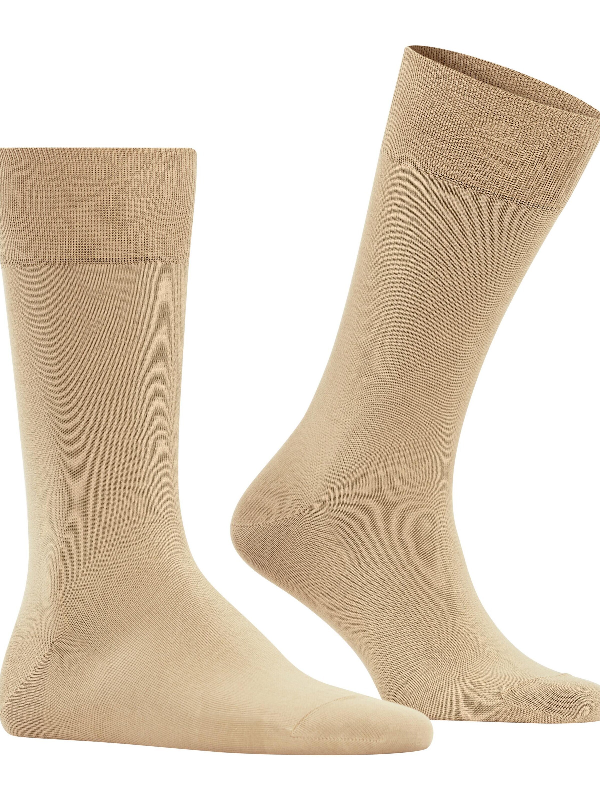 FALKE Socks 'Cool 24/7' in Beige: front