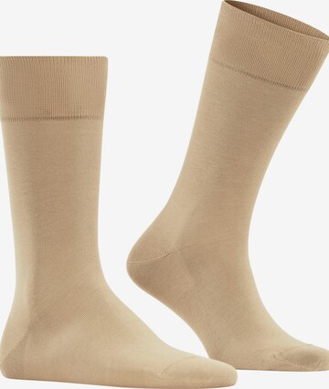 FALKE Socks 'Cool 24/7' in Beige: front