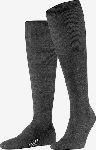 FALKE Knee High Socks 'Airport' in Grey: front