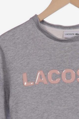 LACOSTE Sweatshirt & Zip-Up Hoodie in XS in Grey