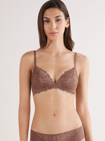 INTIMISSIMI Triangle Bra in Brown: front