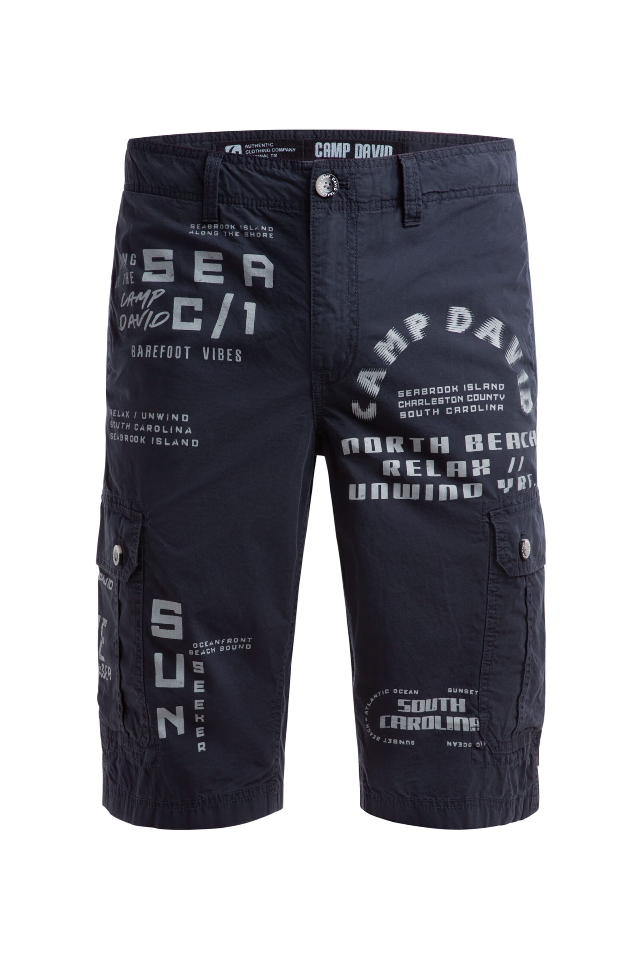 CAMP DAVID Regular Cargo Pants in Blue: front