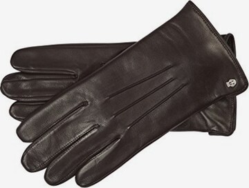 Roeckl Full Finger Gloves in Brown: front